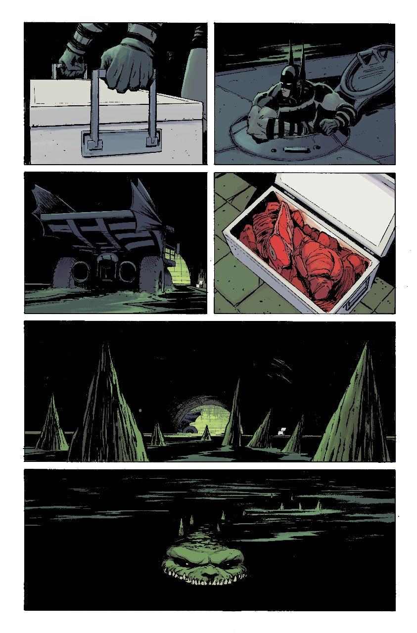 Absolute Batman #13 - page 20 - Artists' Proof By Frank Martin